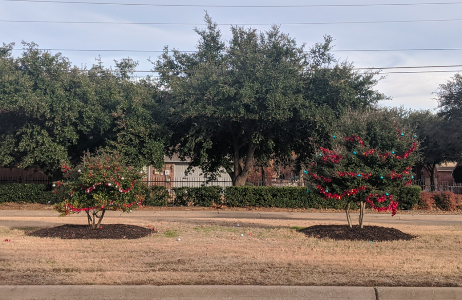 Trees decorated with tinsel and ornaments by members of Help a S.T.A.R. can be found along Morris road. 